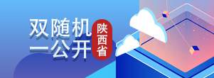 双随机一公开(陕西省)
