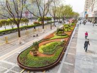 主干道“见缝插绿” 莲湖区打造绿色美丽新空间