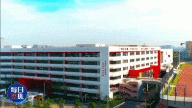 《每日聚焦》关注莲湖区：教育惠民暖人心 优质教育绘就民生幸福底色