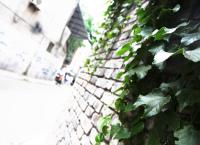 莲湖地名故事：香米园——寇准的墨香与米香（第十八期）