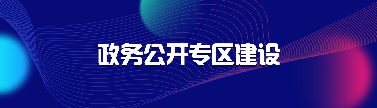 政务公开专区建设