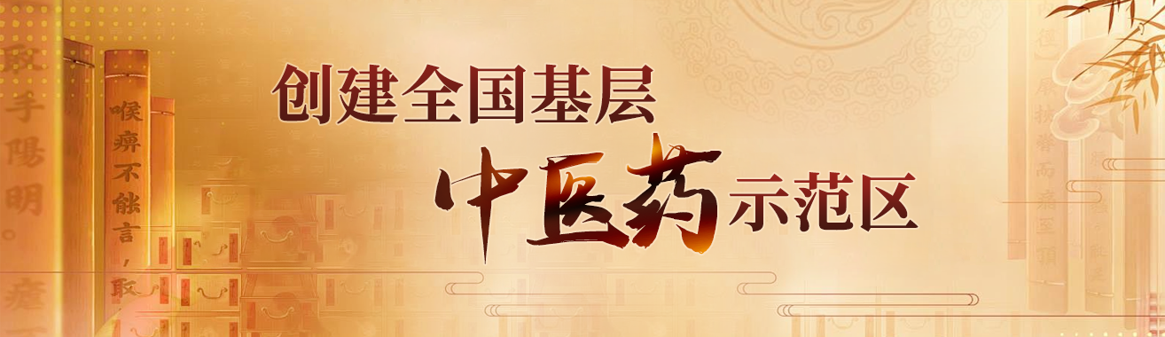 创建全国基层中医药示范区